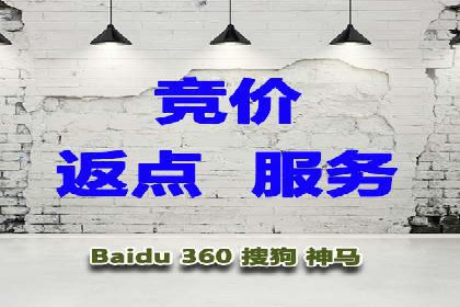 SEM代理服务：提升广告投放效果