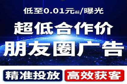 网络推广与竞价策略实战案例